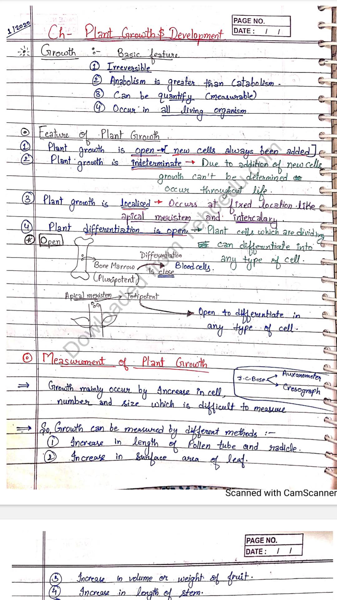 Class Notes Archives Page Of Shop Handwritten Notes Shn