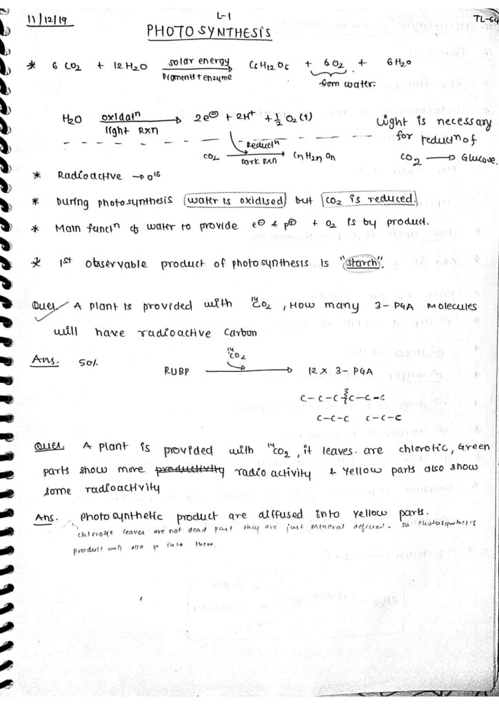 Chapter Photosynthesis In Higher Plants Class Chemistry Notes