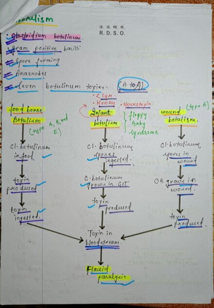 Complete Microbiology Handwritten Notes PDF For NEET, MBBS And ...