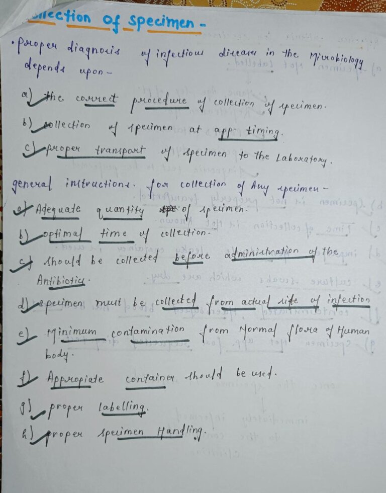 Collection of specimen microbiology Handwritten Notes PDF Shop Handwritten Notes (SHN)