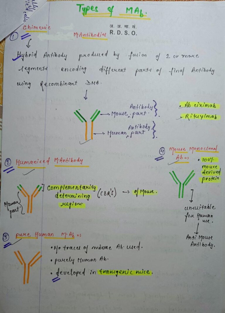 Monoclonal Antibodies Microbiology Notes PDF – Shop Handwritten Notes (SHN)