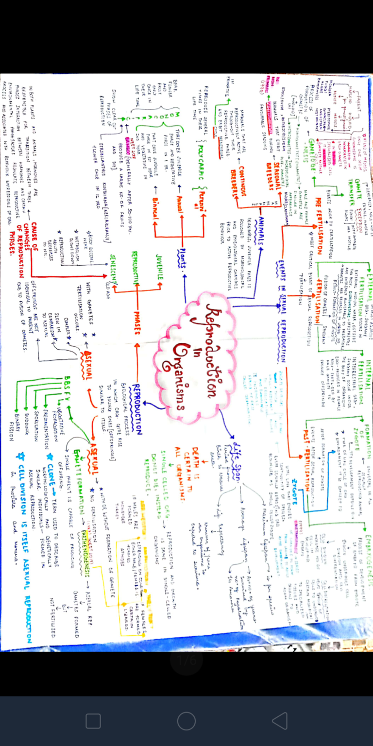 Topper Biology Handwritten Notes For Neet Vrogue 6418