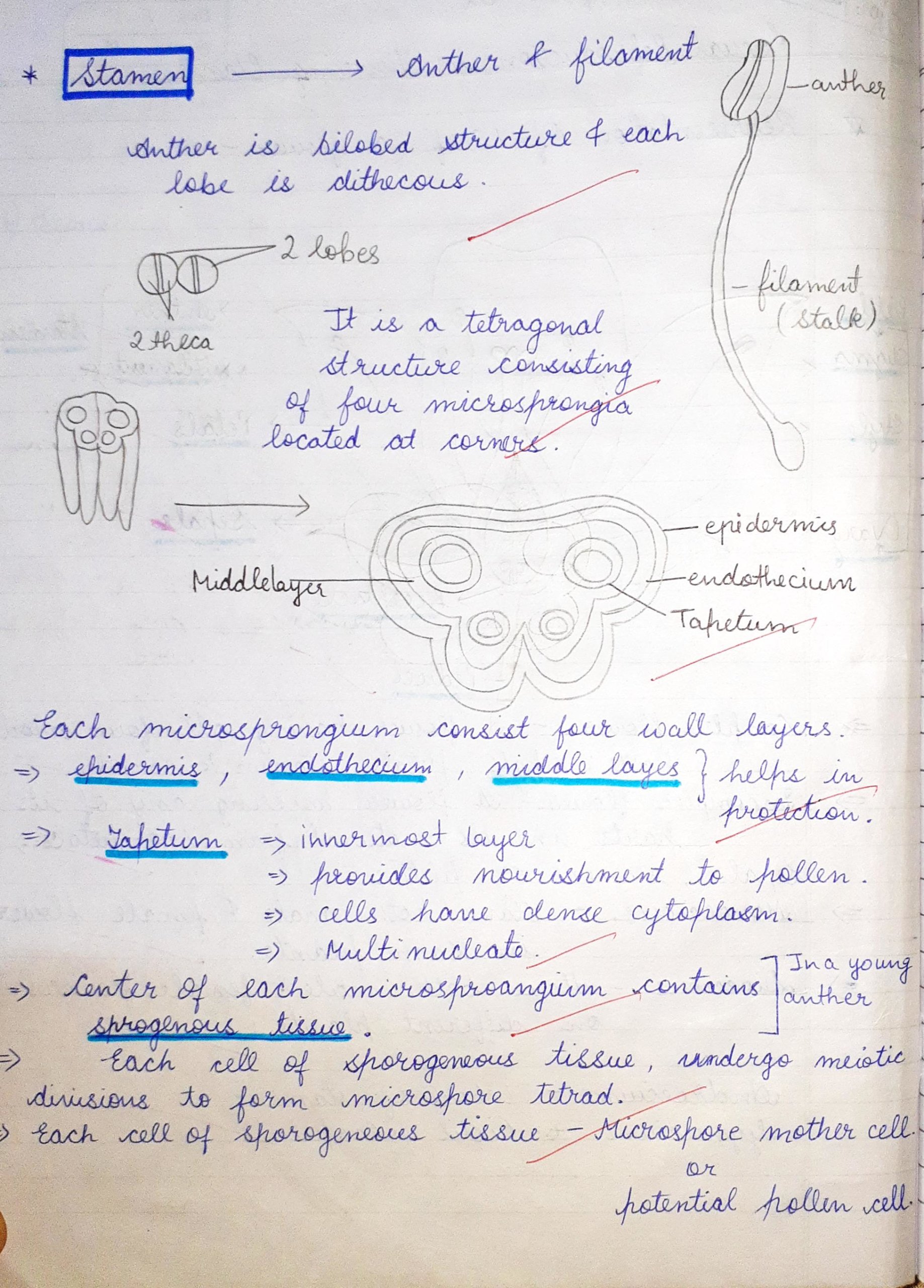 Best Notes Of Sexual Reproduction In Flowering Plants Ncert For Class 7842