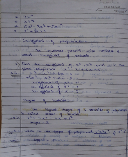 Class 9 Maths chapter – Polynomials Handwritten Notes – Shop ...