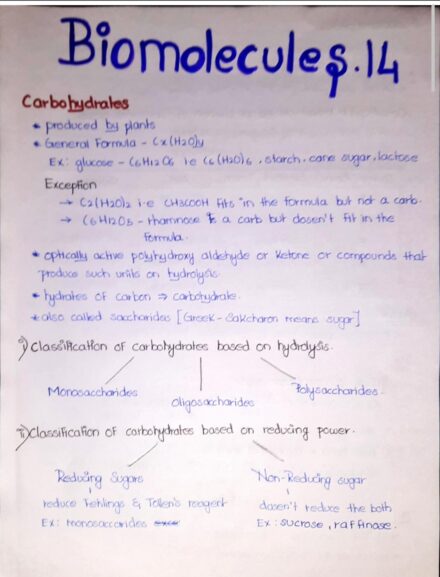 CBSE NCERT Chemistry Class12 Biomolecules Handwritten Notes PDF