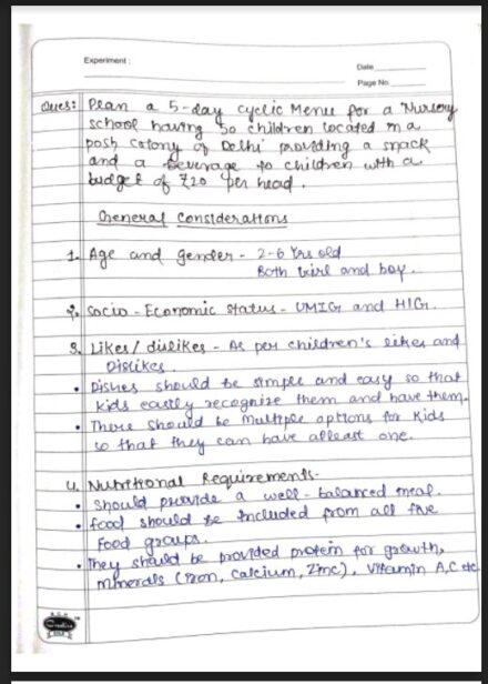 NURSERY KIDS MENU PLANNING Handwritten Notes PDF
