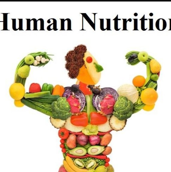 11th BIOLOGY (HUMAN NUTRITION) Handwritten Notes PDF Download
