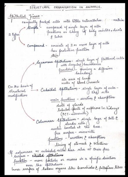 Biology Class 11 Chapter 7 Structural Organization In Animals Handwritten  Notes PDF
