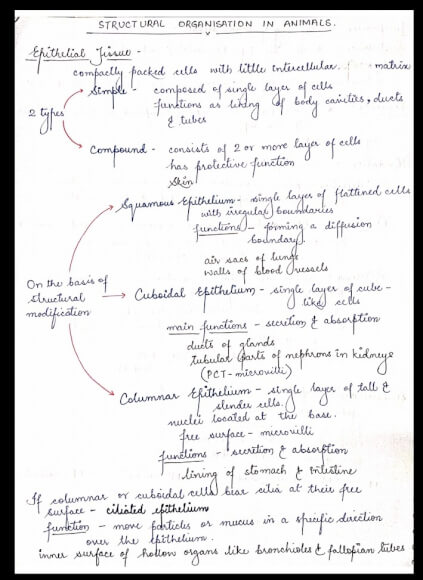 Biology Class 11 Chapter 7 Structural Organization In Animals Handwritten Notes PDF