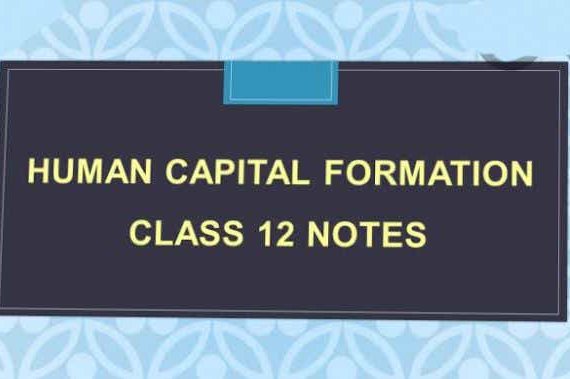 Human Capital Formation Class 12 Indian Economic Development Handwritten Notes