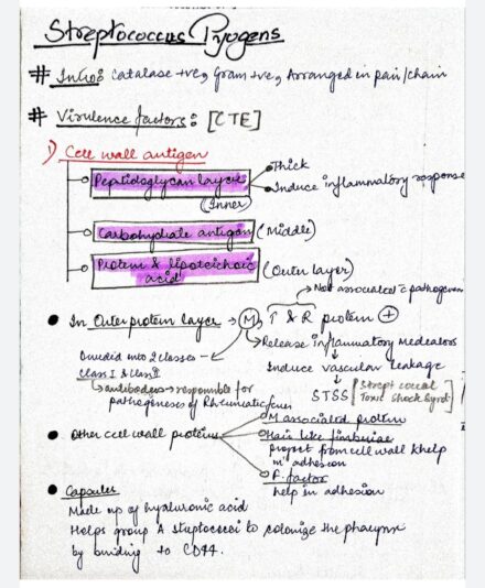 STREPTOCOCCUS PYOGENS (MICROBIOLOGY) HANDWRIITEN NOTES PDF