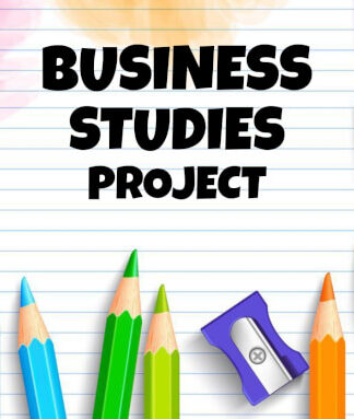 Class 12 Business Studies Project PDF by Prachi Shankar -Shop Handwritten Notes (SHN)