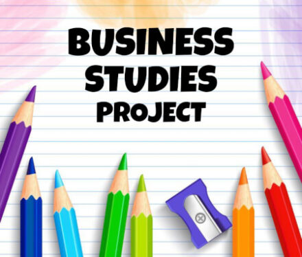Class 12 Business Studies Project PDF by Prachi Shankar -Shop Handwritten Notes (SHN)
