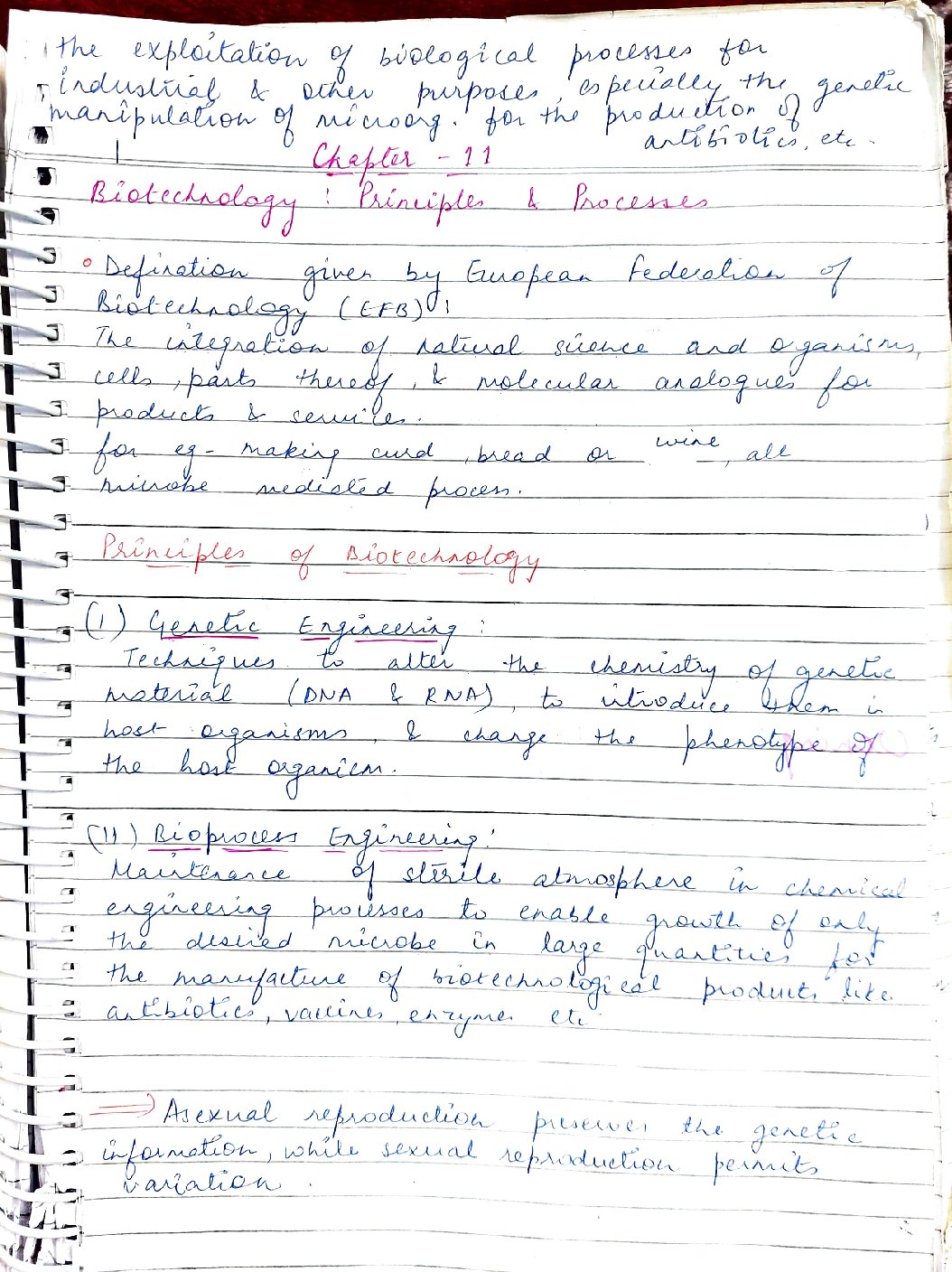 Chapter 11 Biotechnology Principles and processes Class 12 Handwritten notes  PDF