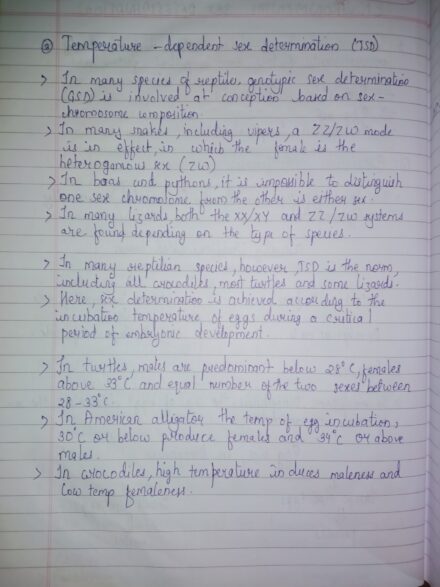 Handwritten notes of class 12th biology chapter 5 Principles of Inheritance and Variations part 2