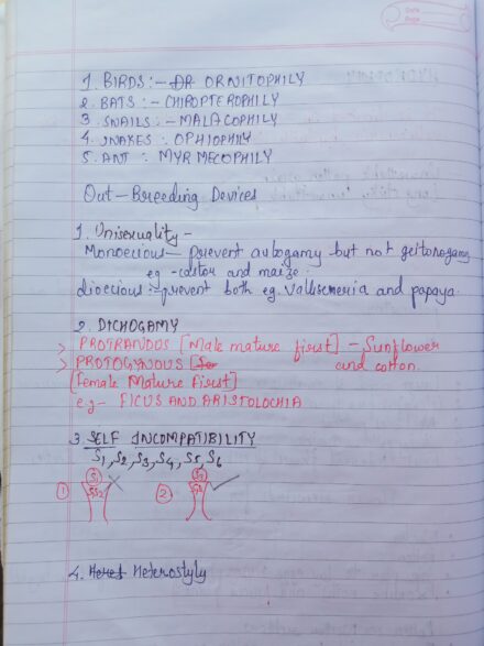 Handwritten notes of class 12th Biology chapter 2 : Sexual Reproduction in flowering plants