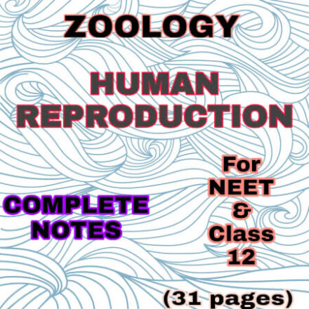Zoology: Human Reproduction complete notes PDF - Best Handwritten Notes