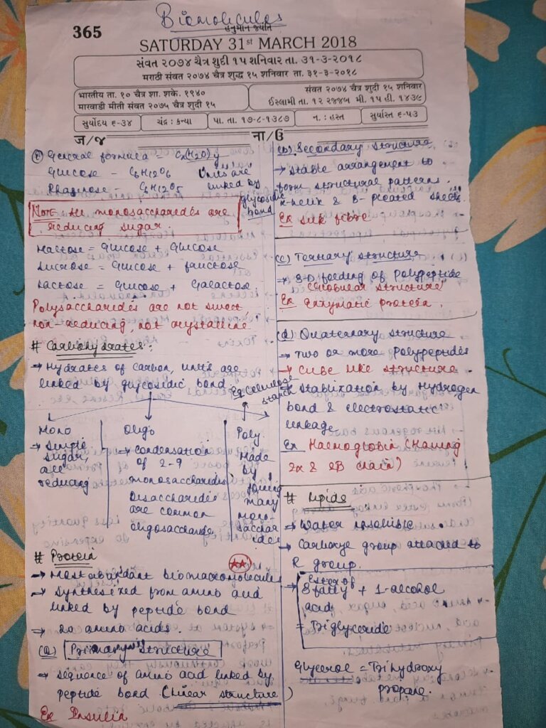 Biomolecules Class 11 Short Notes at James Getz blog