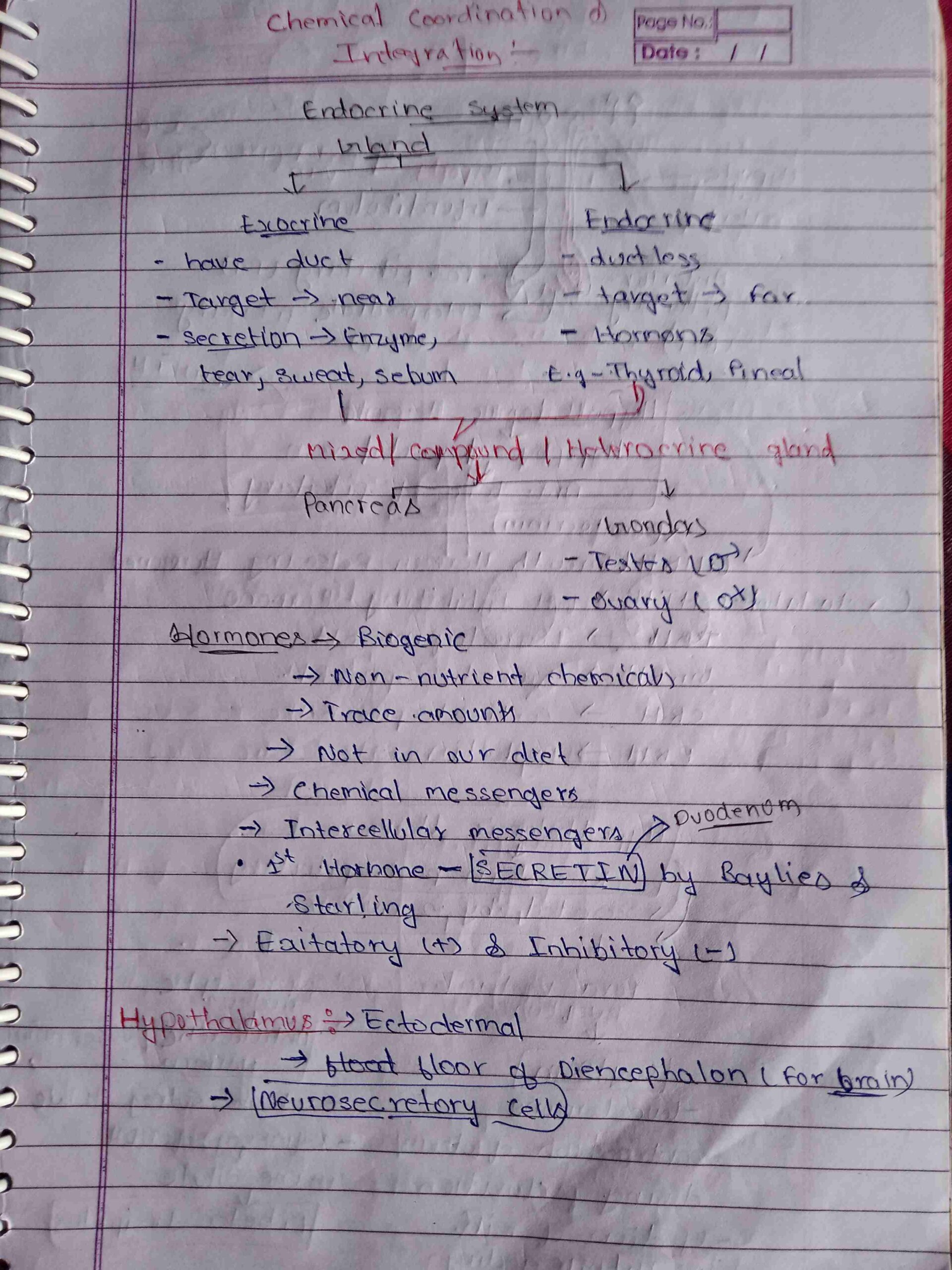 Neet Class 11th Biology Handwritten Notes Pdf Shop Handwritten Notes