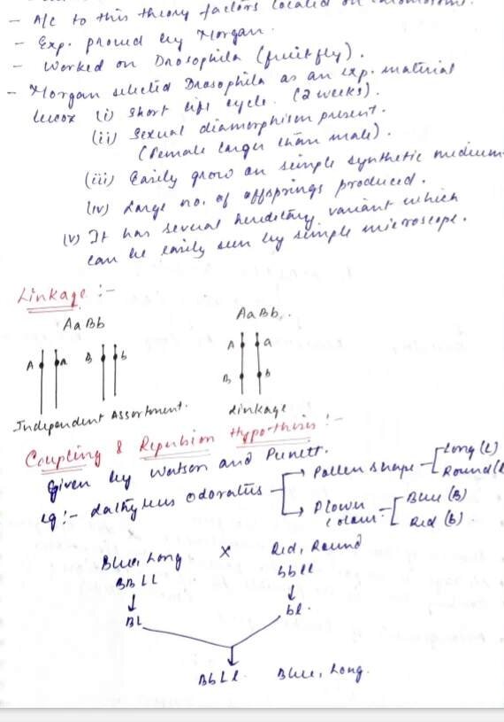 BIOLOGY ALLEN NOTES for inheritance Handwritten Notes PDF