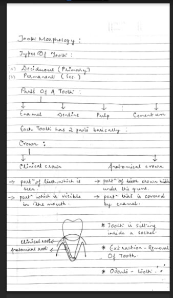 DADH (BDS 1st Year) Handwritten Notes PDF