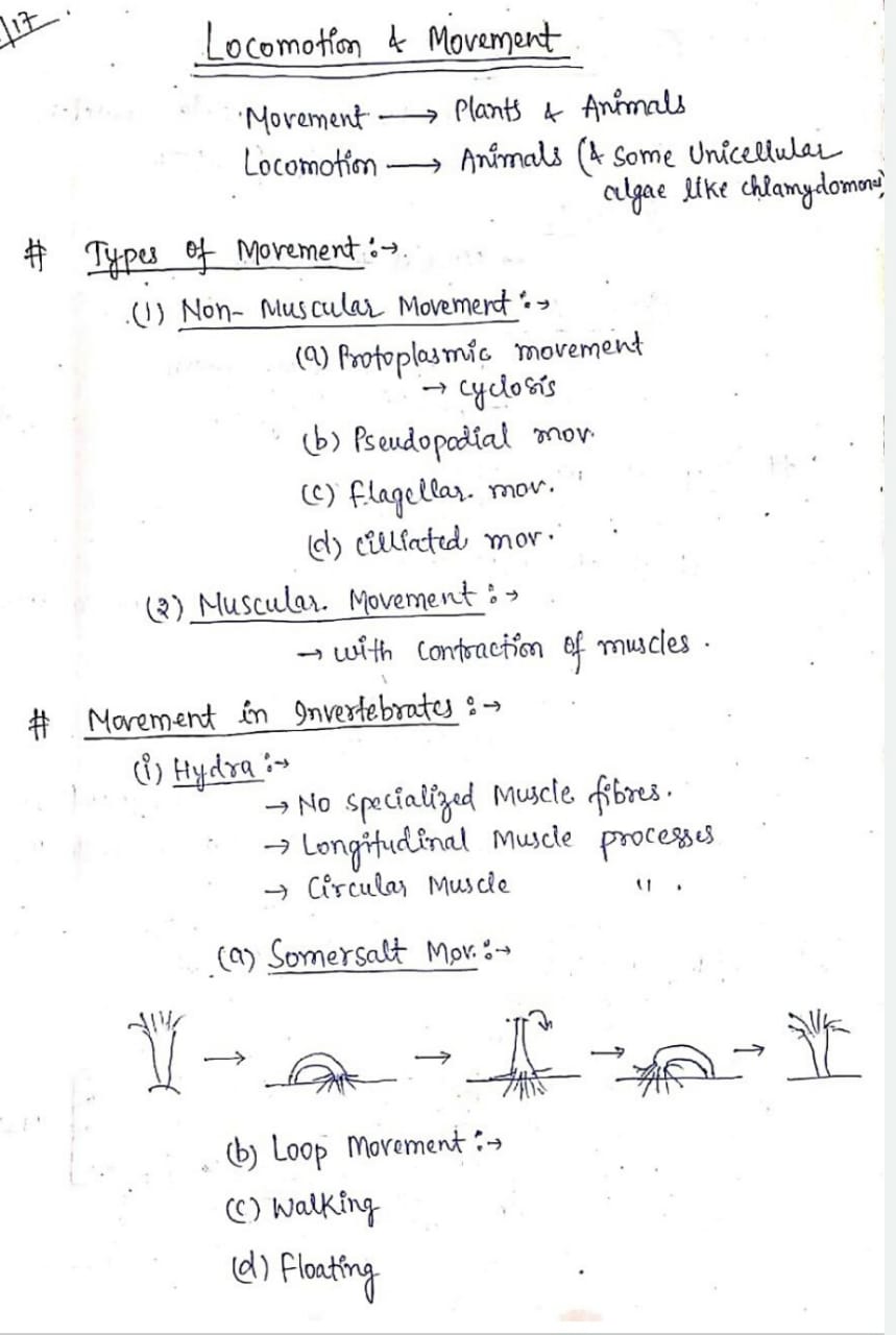 Locomotion and movement class 11 Handwritten Notes PDF Download