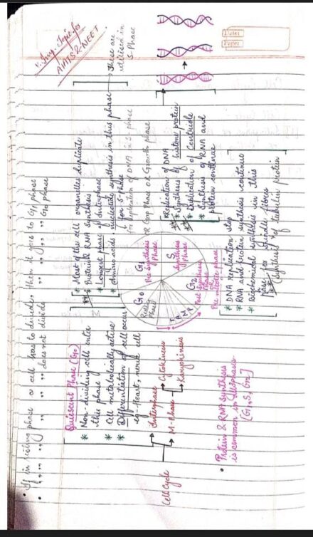 Cell Cycle And Cell Division Handwritten Notes PDF Download