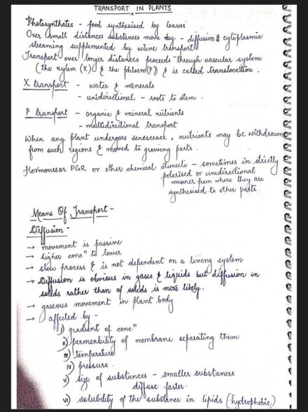 Transport In Plants Handwritten Notes PDF Download