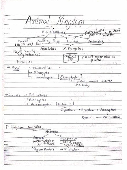 Animal Kingdom Class 11 Biology Chapter 4 | Handwritten notes with diagrams