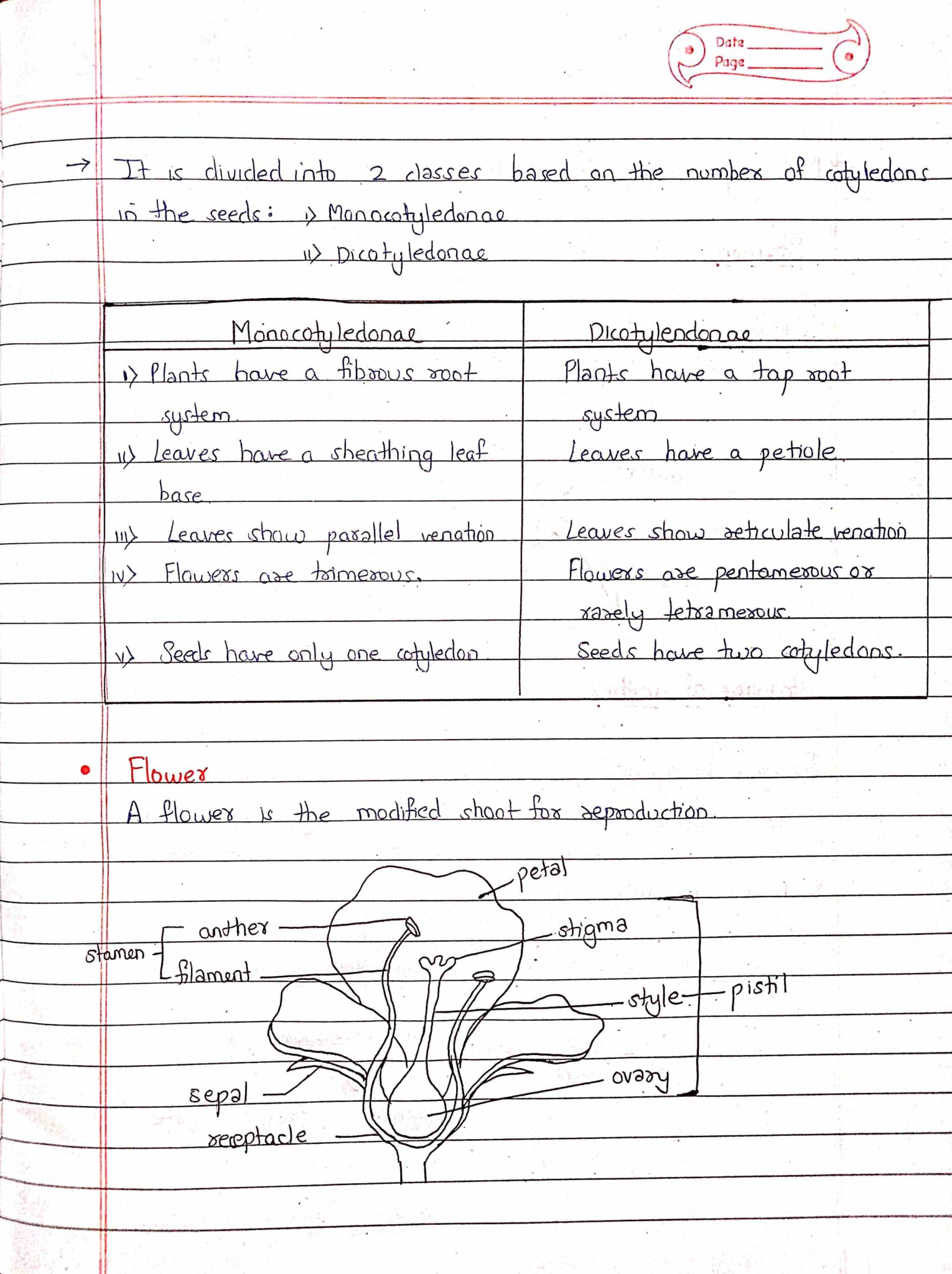 Plant Kingdom Class 11 Biology Chapter 3 Handwritten Notes For Neet With Diagram Shop 7989