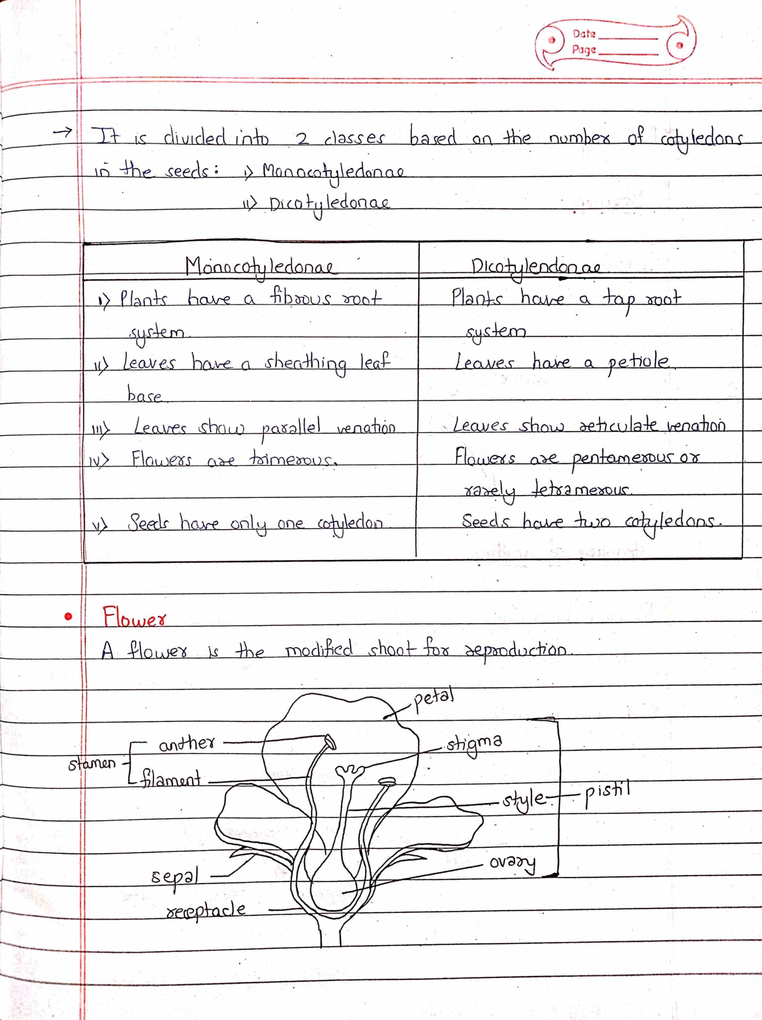 plant-kingdom-class-11-biology-chapter-3-handwritten-notes-for-neet