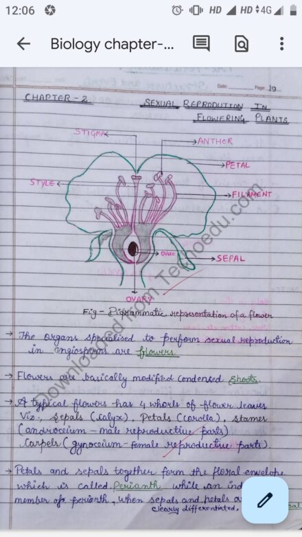 Class 12th Biology Chapter 2 Sexual Reproduction In Flowering 1696
