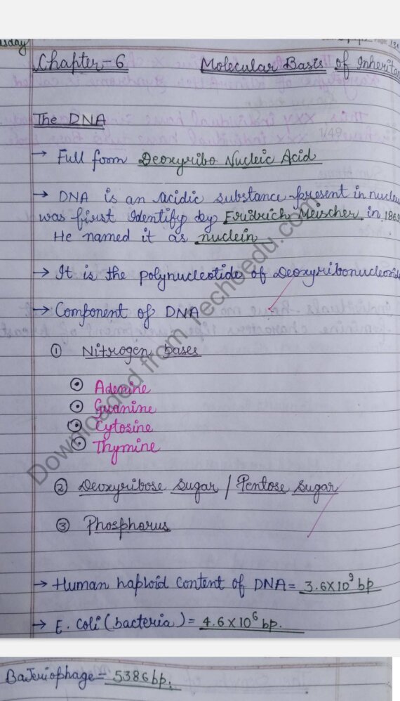 Class 12 Biology Archives Shop Handwritten Notes Shn