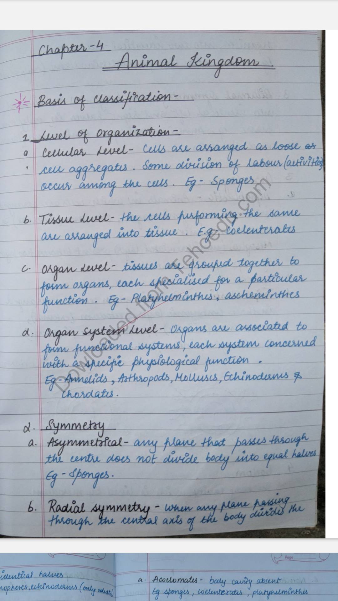 NCERT Class-11th biology , chapter – 4 ( animal kingdom ) Handwritten  Toppers Notes (Premium Quality)- English medium