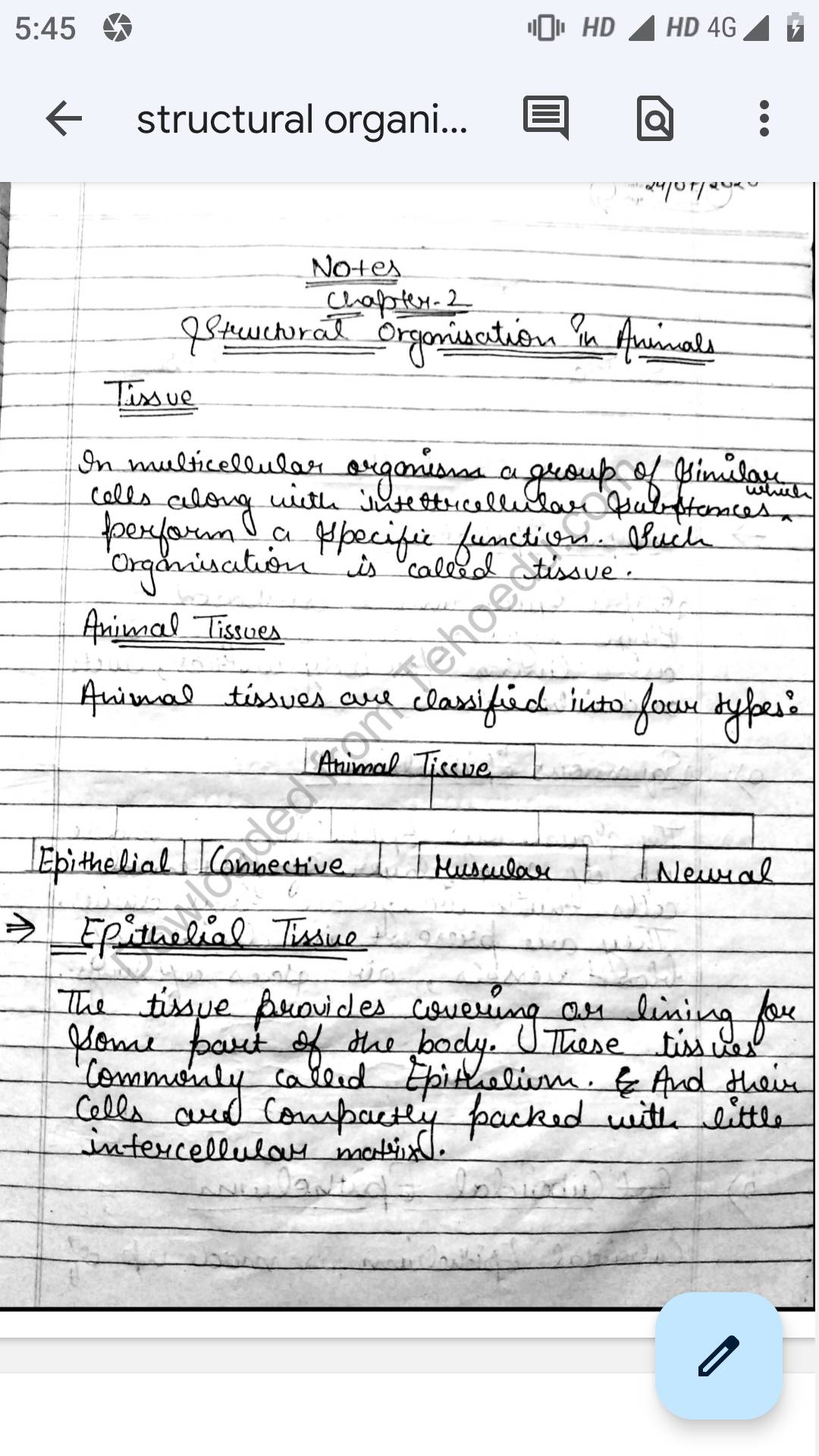 NCERT Class-11th biology , chapter – 7 ( structural organisation in animals  ) Handwritten Toppers Notes (Premium Quality)- English medium