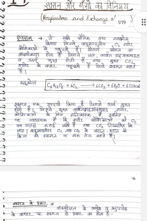 class-11-biology-in-hindi-shop-handwritten-notes-shn