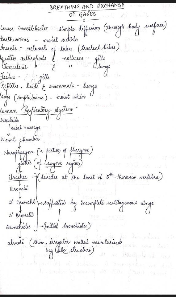 BIODIVERSITY AND CONSERVATION Handwritten Notes PDF