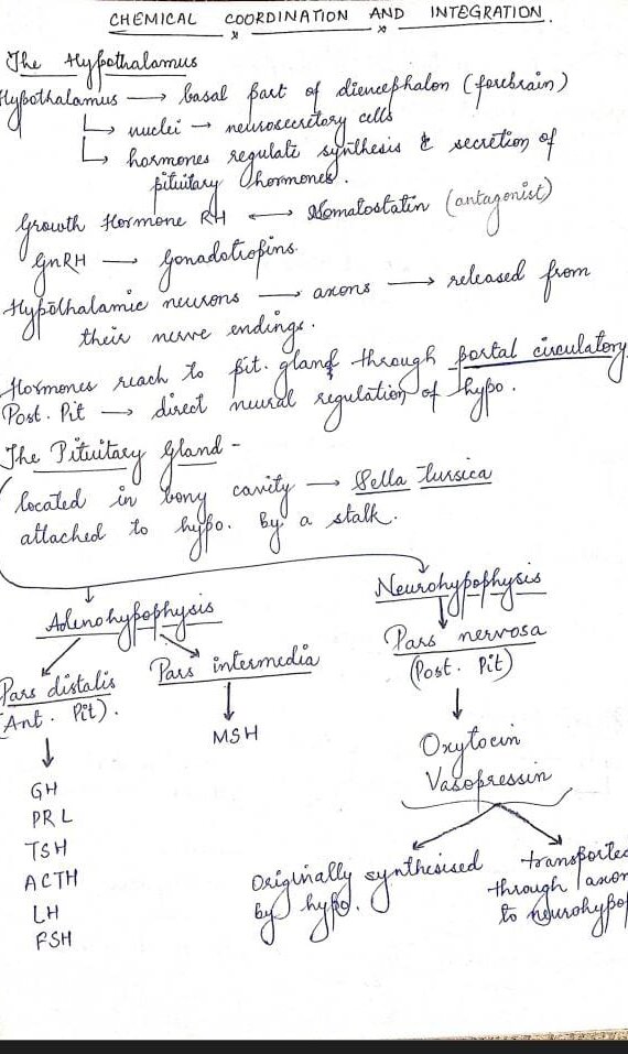 Chemical Control And Integration Handwritten Notes PDF