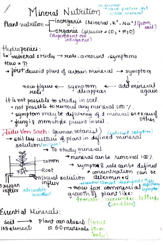 Chapter-12: Mineral Nutrition class 12 Biology notes for cbse board and NEET