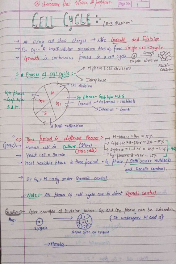 Chapter-10: Cell Cycle and Cell Division class 12 Biology notes for cbse board and NEET