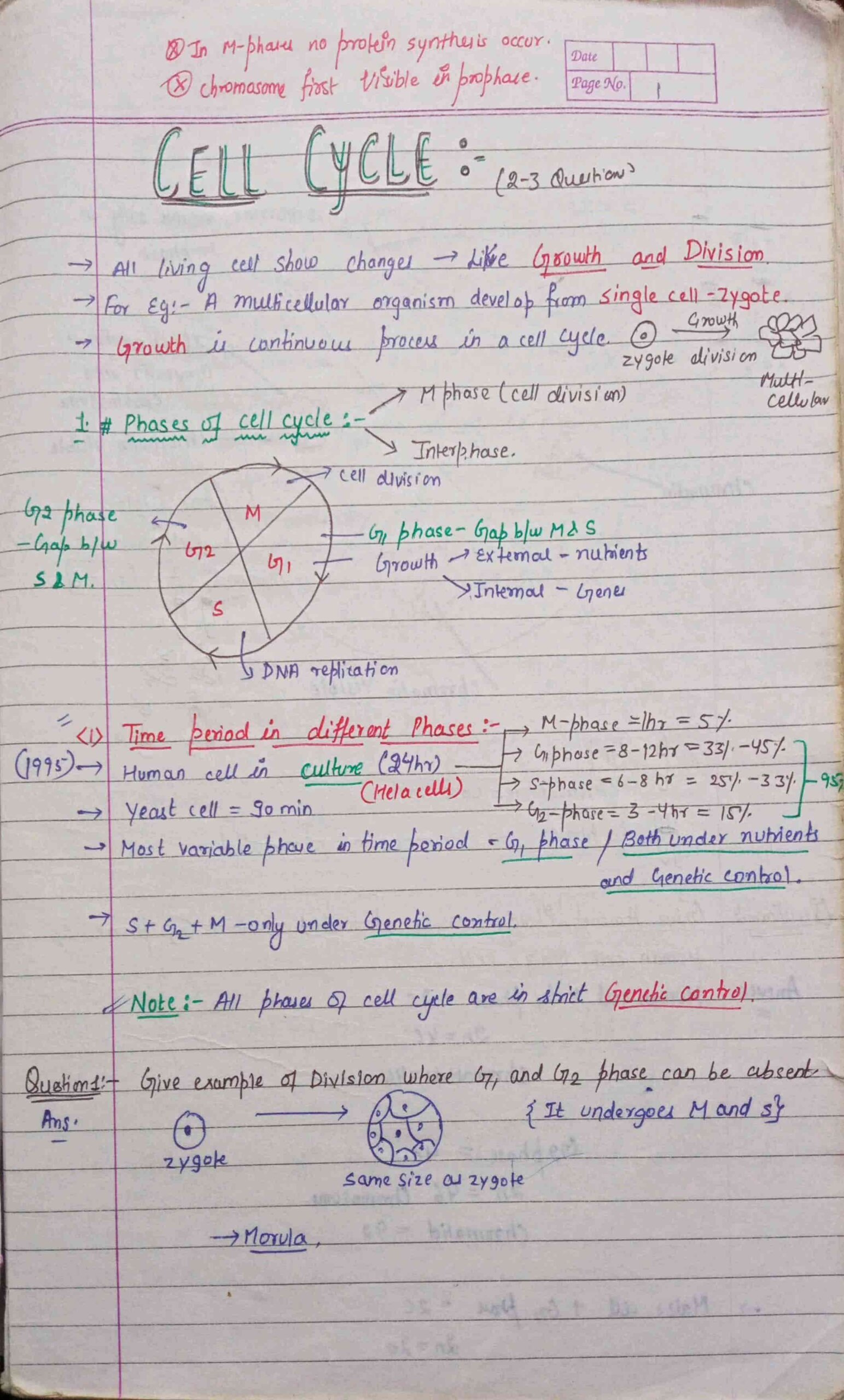 chapter-10-cell-cycle-and-cell-division-class-12-biology-notes-for