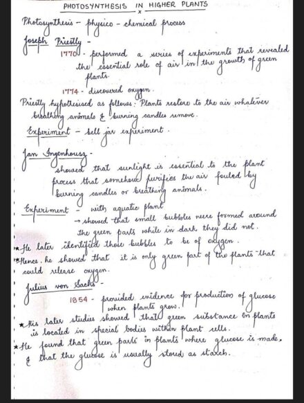 Photosynthesis In Higher Plants Handwritten Notes Pdf
