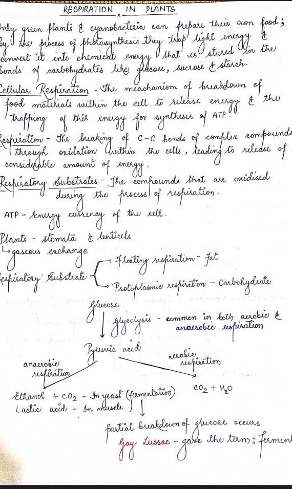 Respiration In Plants Handwritten Notes PDF