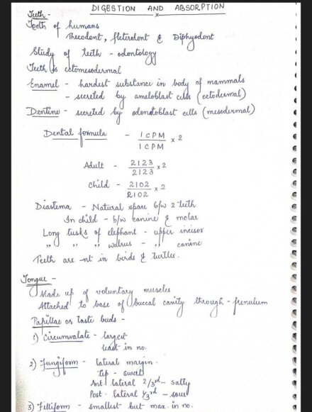Digestion And Absorption Handwritten Notes PDF