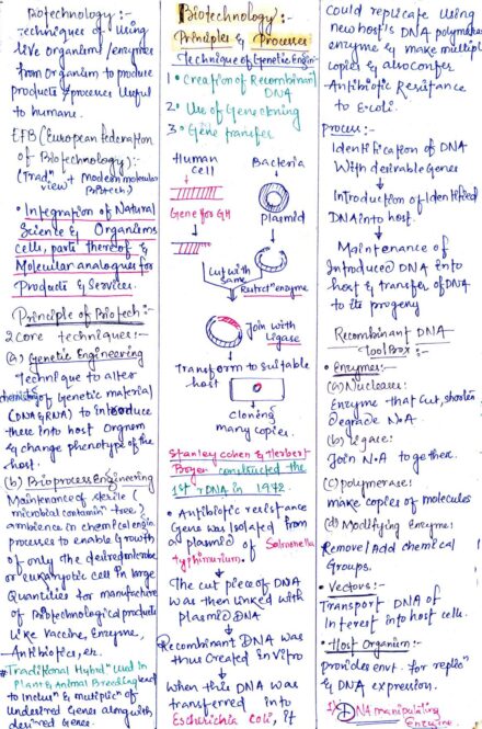 Chapter-11: Biotechnology - Principles and Processes class 12 Biology notes for cbse board and NEET