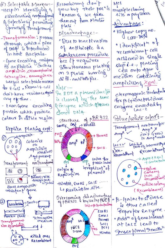 Chapter-11: Biotechnology – Principles and Processes class 12 Biology ...