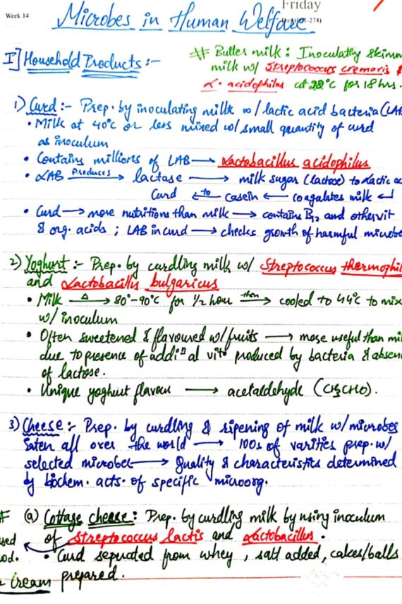 Chapter-10: Microbes in Human Welfare class 12 Biology notes for cbse board and NEET