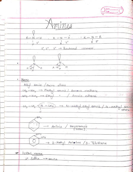 Organic Compounds Containing Nitrogen Amines Class 12 Chemistry 