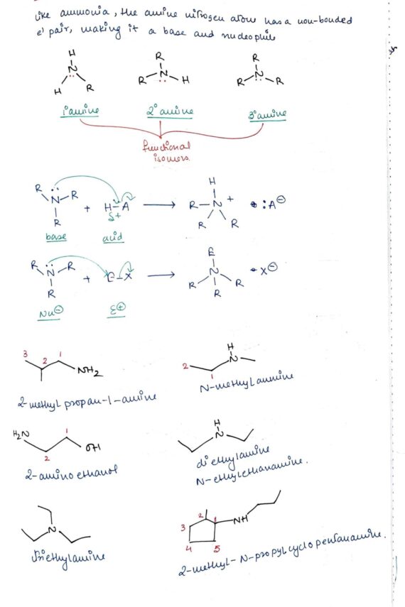 Chapter 13- Amines class 12 Chemistry notes for cbse board and NEET or jee