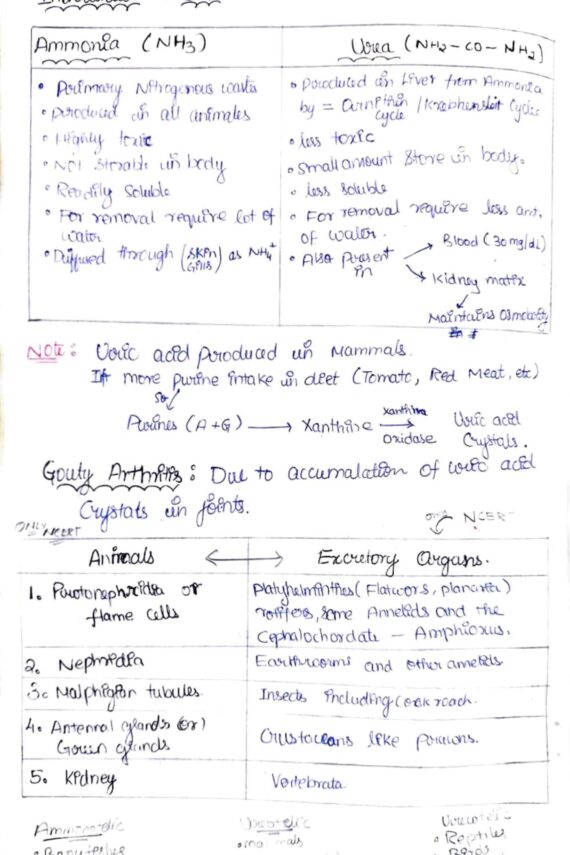 Chapter-19: Excretory Products and Their Elimination class 12 Biology notes for cbse board and NEET